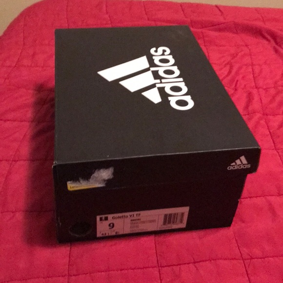 Goletto VI TF - Picture 4 of 4